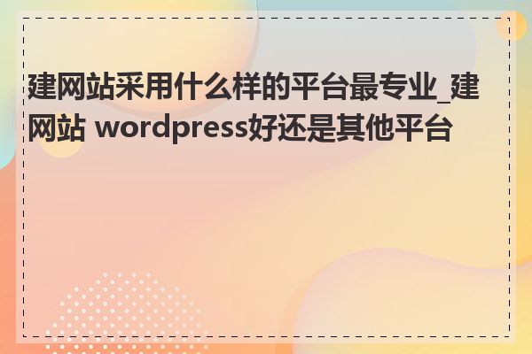 建网站采用什么样的平台最专业_建网站 wordpress好还是其他平台好