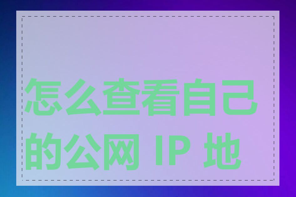 怎么查看自己的公网 IP 地址