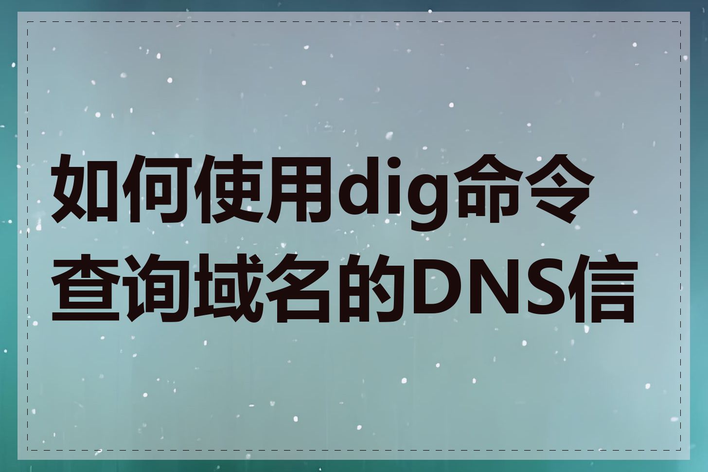 如何使用dig命令查询域名的DNS信息