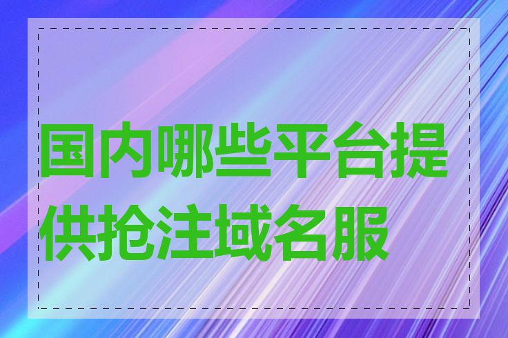 国内哪些平台提供抢注域名服务