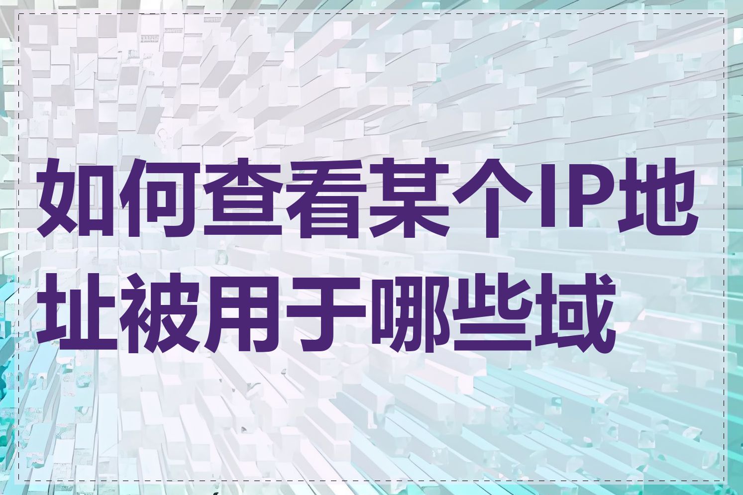 如何查看某个IP地址被用于哪些域名