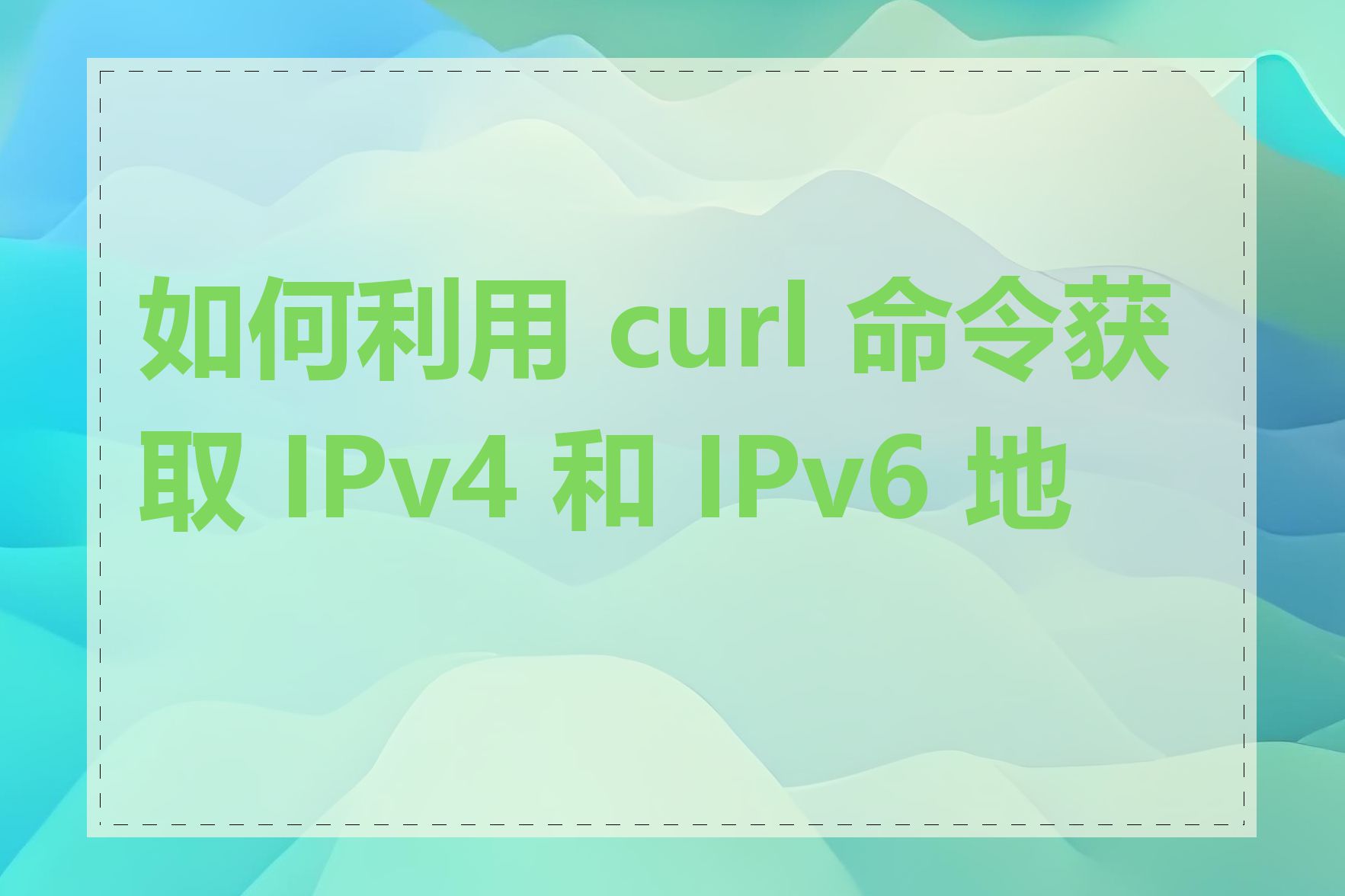 如何利用 curl 命令获取 IPv4 和 IPv6 地址