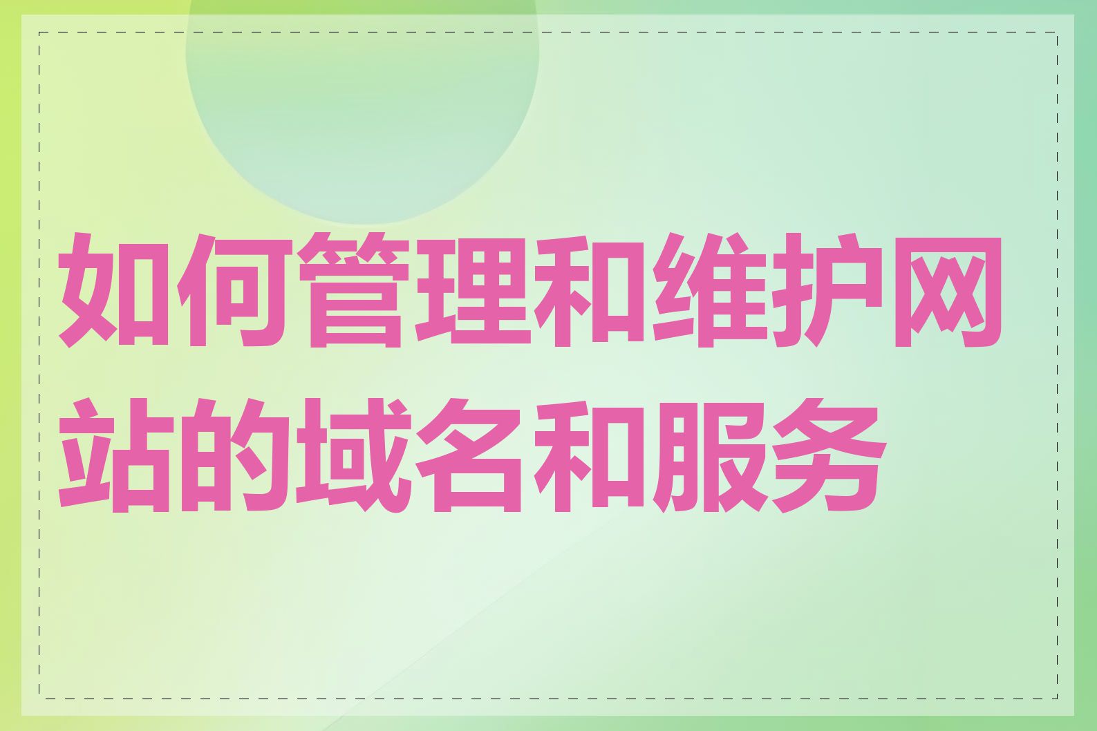 如何管理和维护网站的域名和服务器