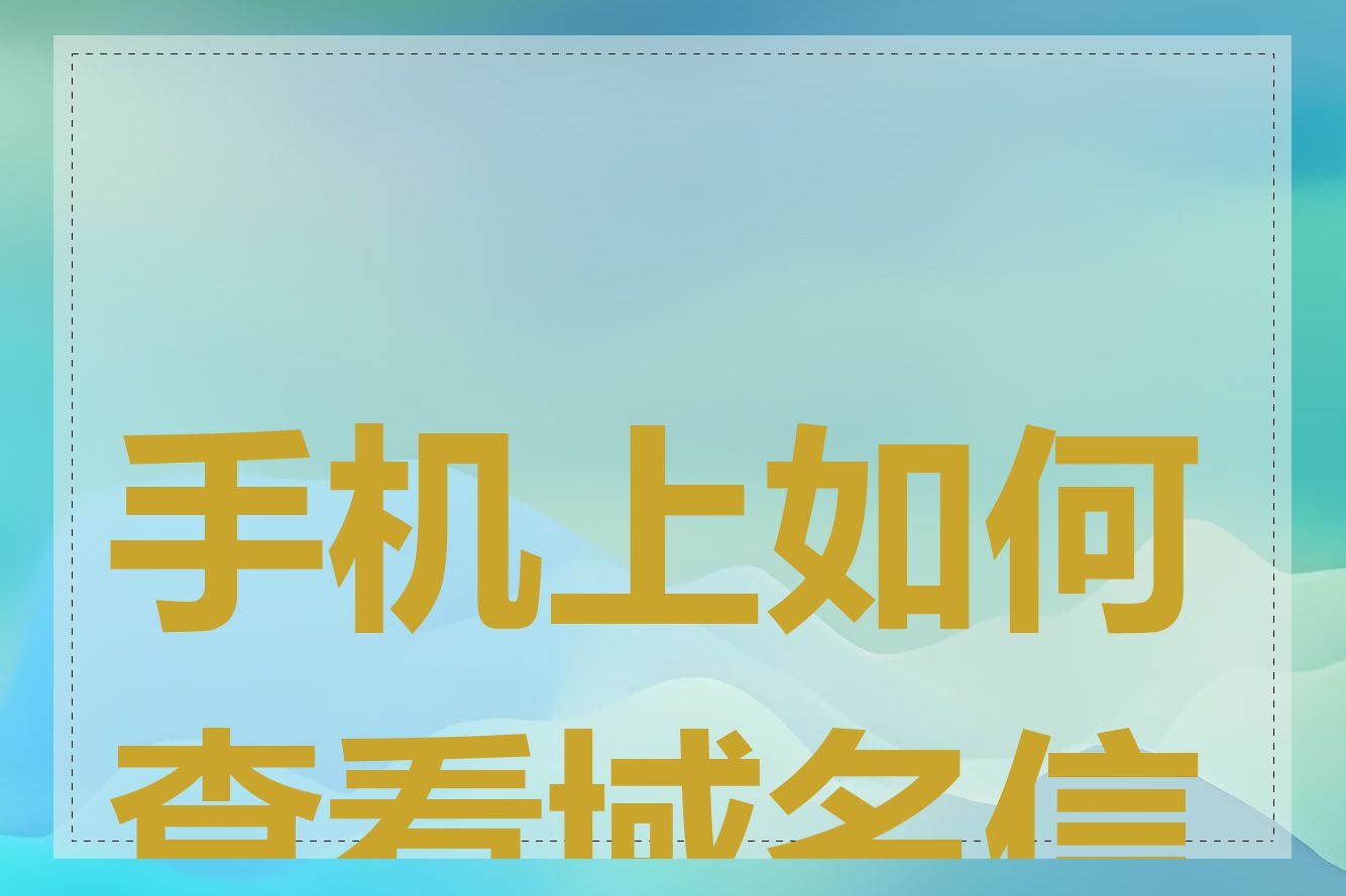 手机上如何查看域名信息