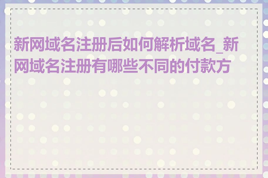 新网域名注册后如何解析域名_新网域名注册有哪些不同的付款方式