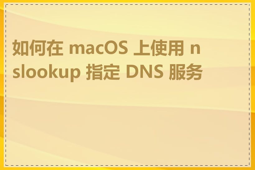 如何在 macOS 上使用 nslookup 指定 DNS 服务器