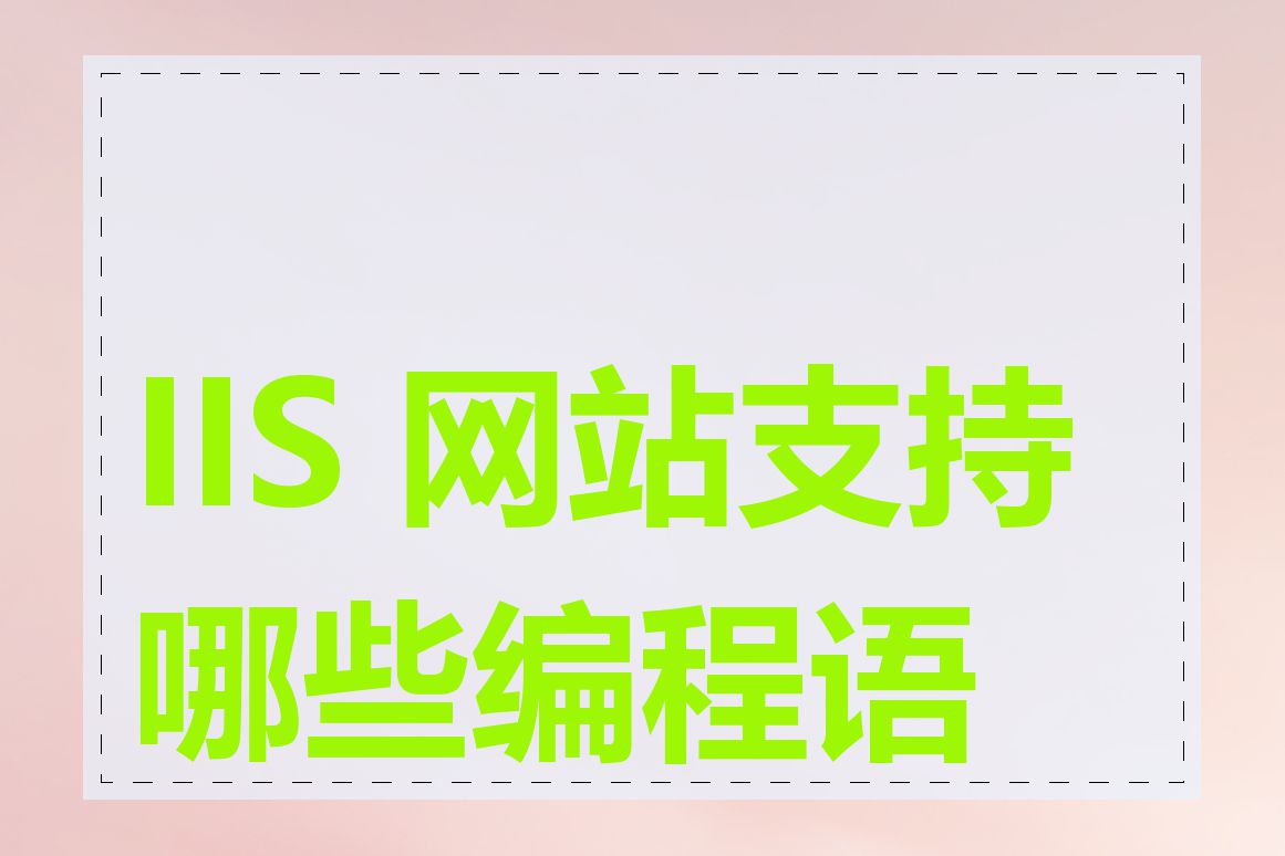 IIS 网站支持哪些编程语言