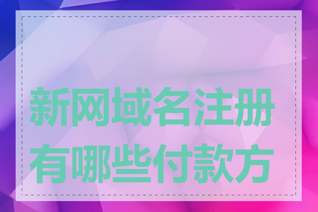 新网域名注册有哪些付款方式