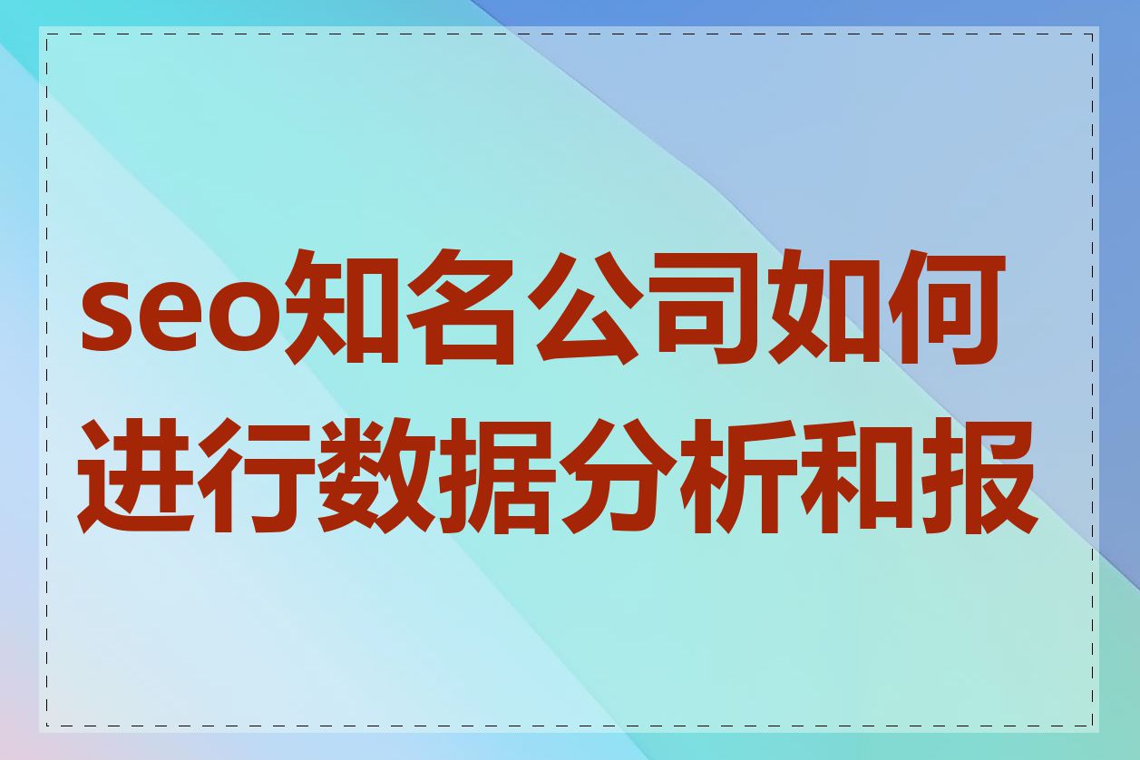 seo知名公司如何进行数据分析和报告