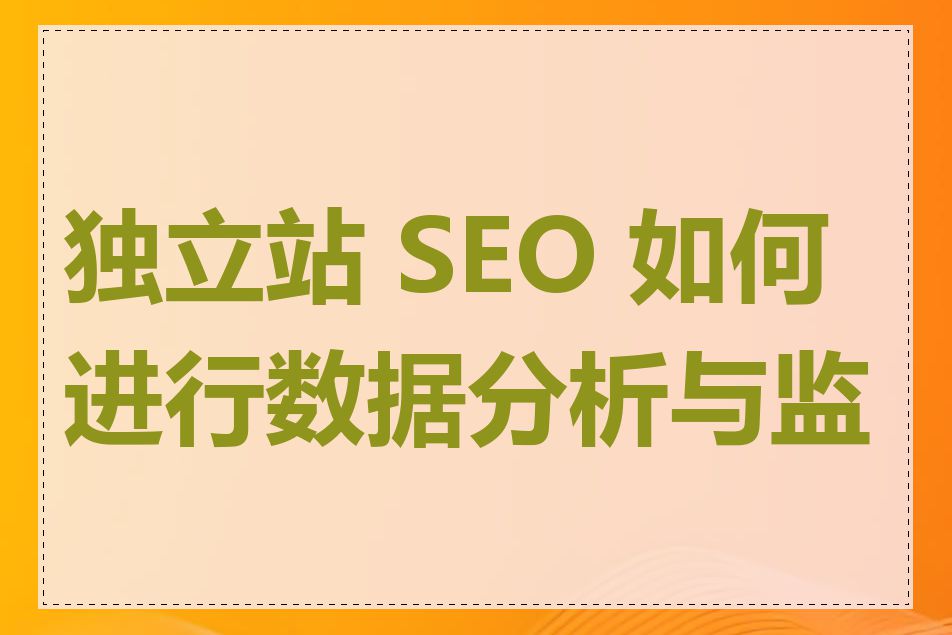 独立站 SEO 如何进行数据分析与监测