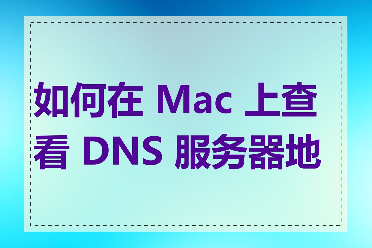 如何在 Mac 上查看 DNS 服务器地址