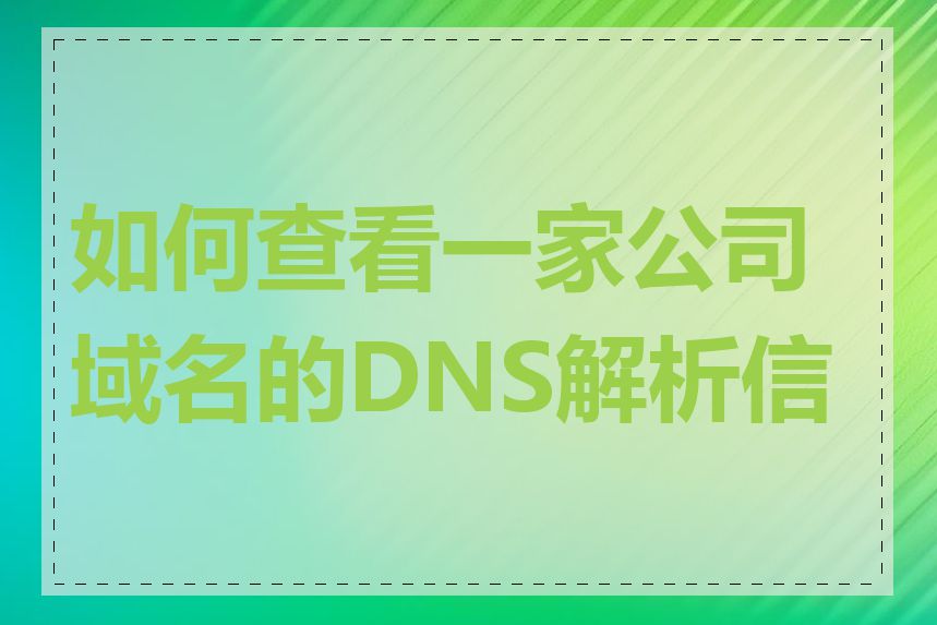 如何查看一家公司域名的DNS解析信息