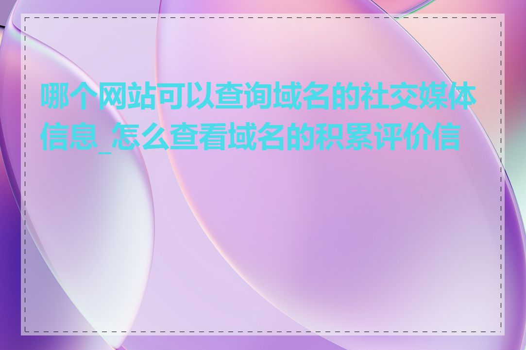 哪个网站可以查询域名的社交媒体信息_怎么查看域名的积累评价信息