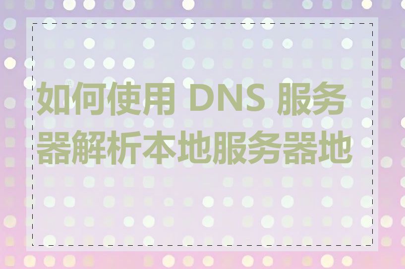 如何使用 DNS 服务器解析本地服务器地址