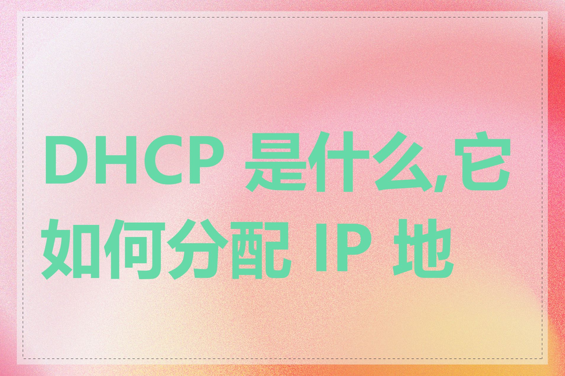 DHCP 是什么,它如何分配 IP 地址