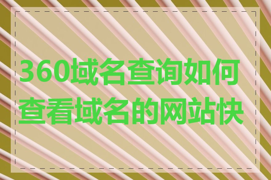 360域名查询如何查看域名的网站快照