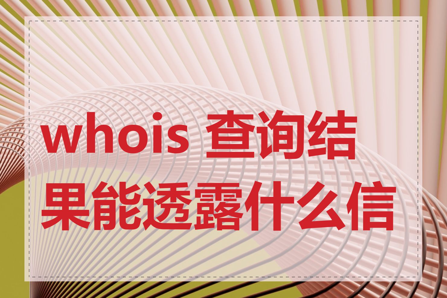 whois 查询结果能透露什么信息