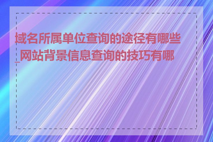 域名所属单位查询的途径有哪些_网站背景信息查询的技巧有哪些