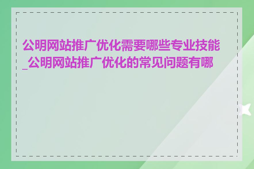 公明网站推广优化需要哪些专业技能_公明网站推广优化的常见问题有哪些