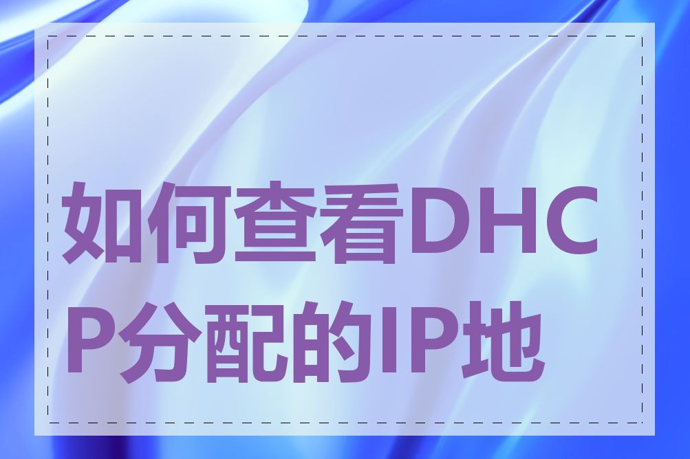 如何查看DHCP分配的IP地址