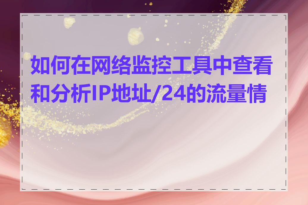 如何在网络监控工具中查看和分析IP地址/24的流量情况