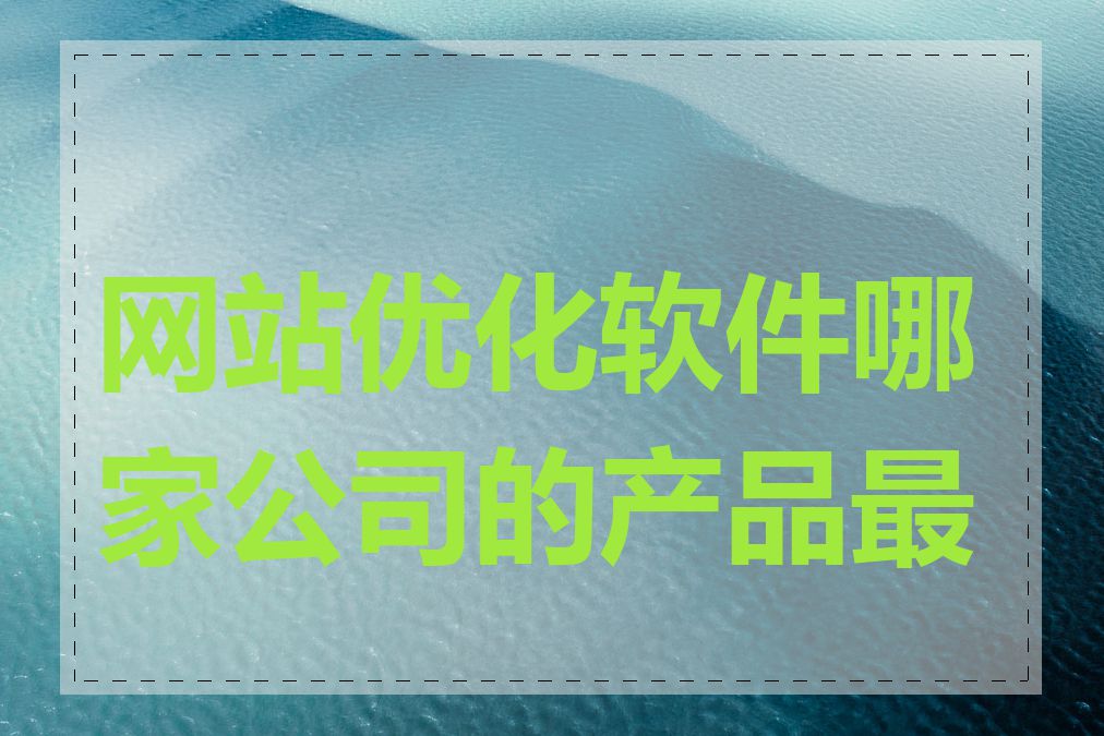 网站优化软件哪家公司的产品最好