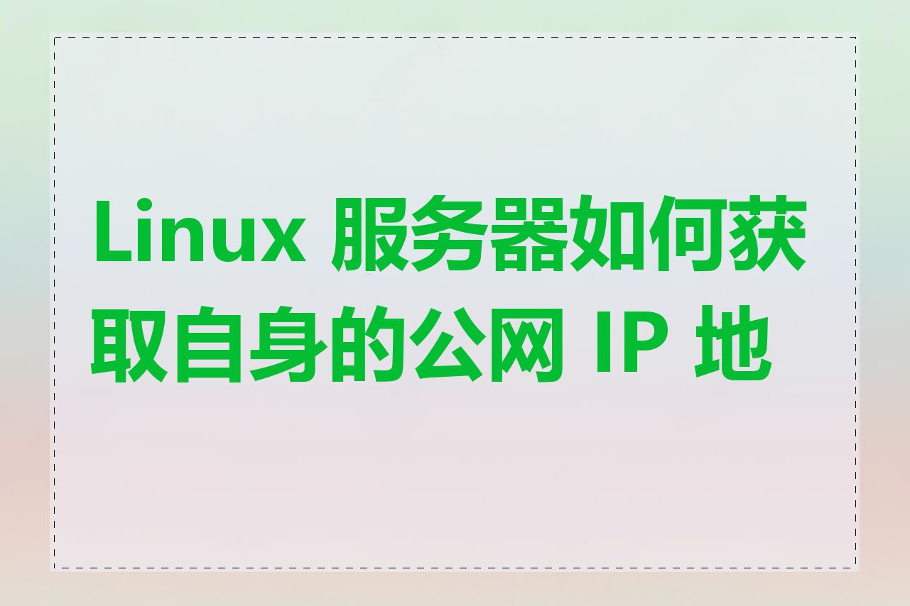 Linux 服务器如何获取自身的公网 IP 地址