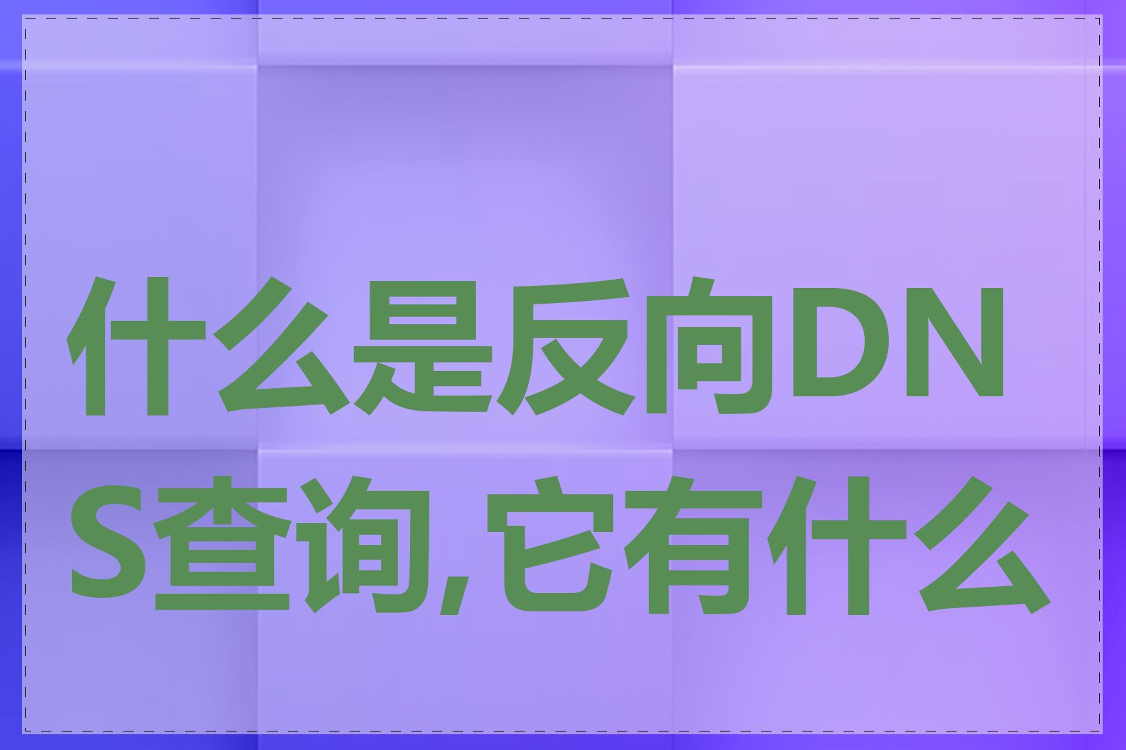 什么是反向DNS查询,它有什么用