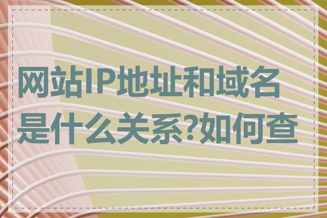 网站IP地址和域名是什么关系?如何查看