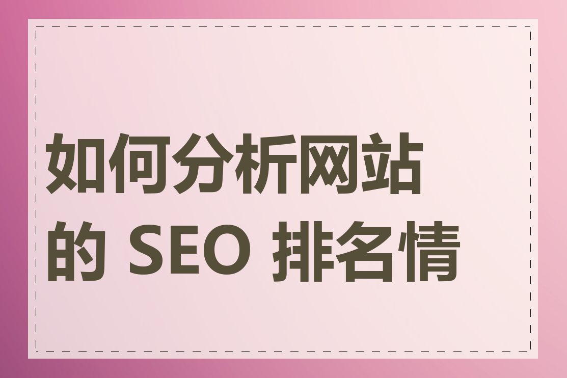 如何分析网站的 SEO 排名情况