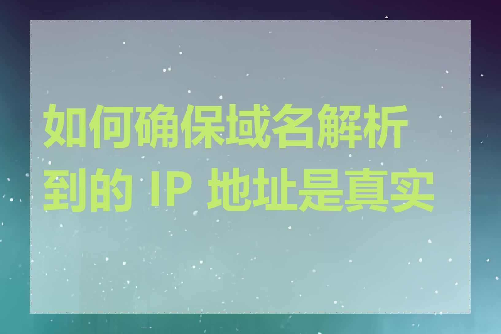 如何确保域名解析到的 IP 地址是真实的