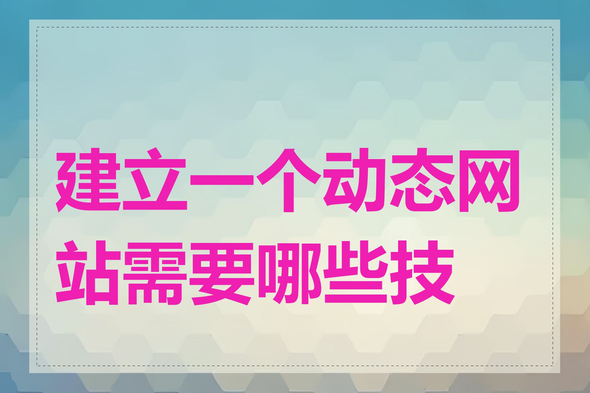 建立一个动态网站需要哪些技术