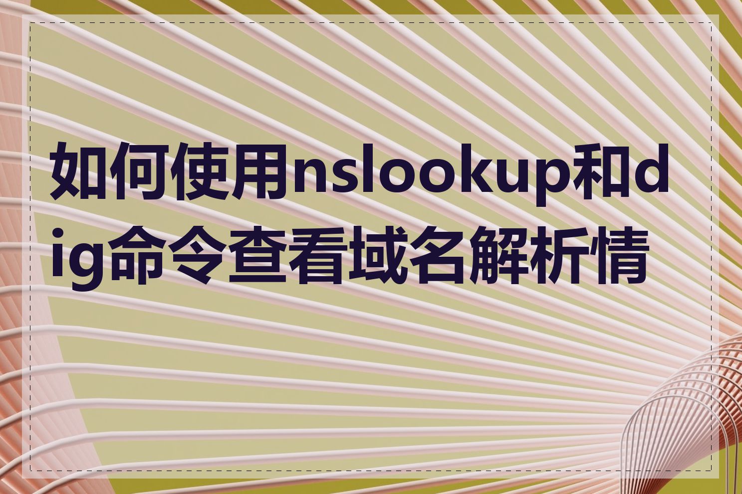 如何使用nslookup和dig命令查看域名解析情况