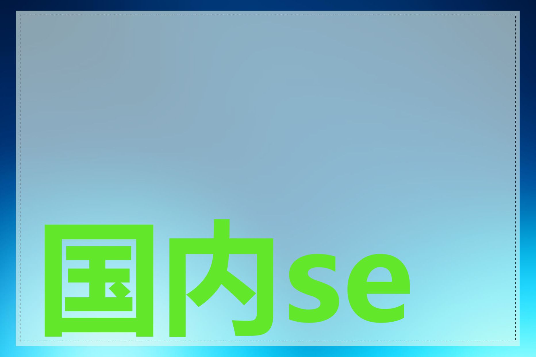 国内seo公司排名