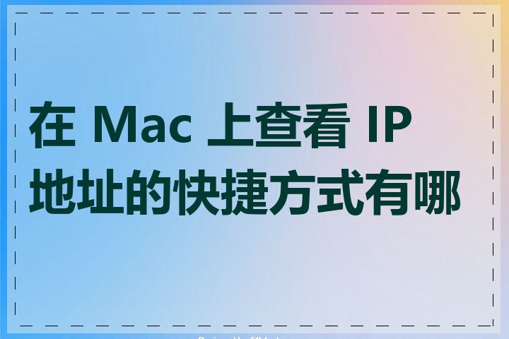 在 Mac 上查看 IP 地址的快捷方式有哪些