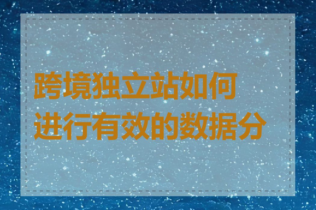 跨境独立站如何进行有效的数据分析