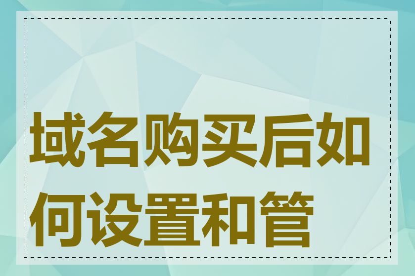 域名购买后如何设置和管理