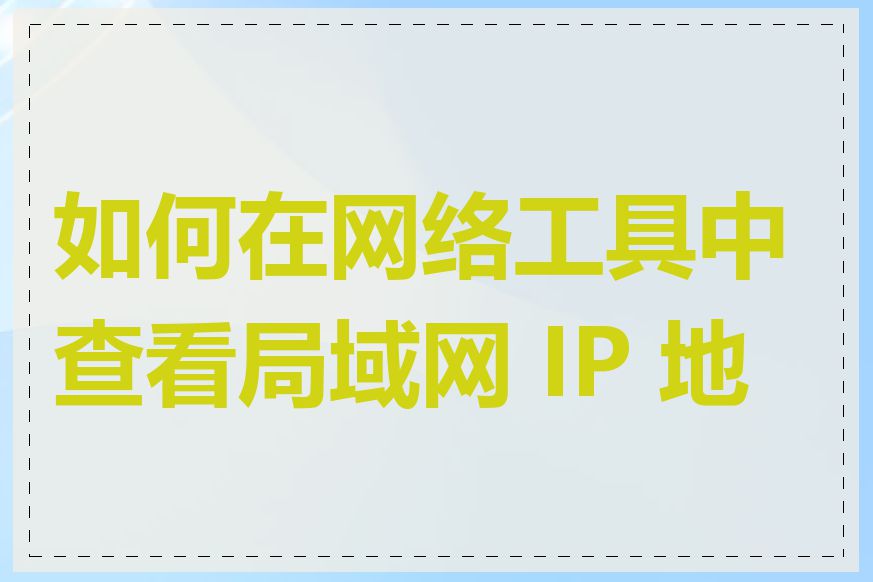 如何在网络工具中查看局域网 IP 地址