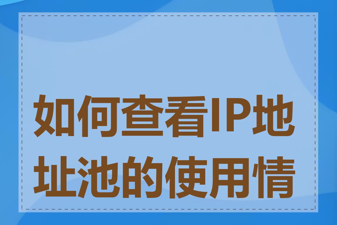 如何查看IP地址池的使用情况