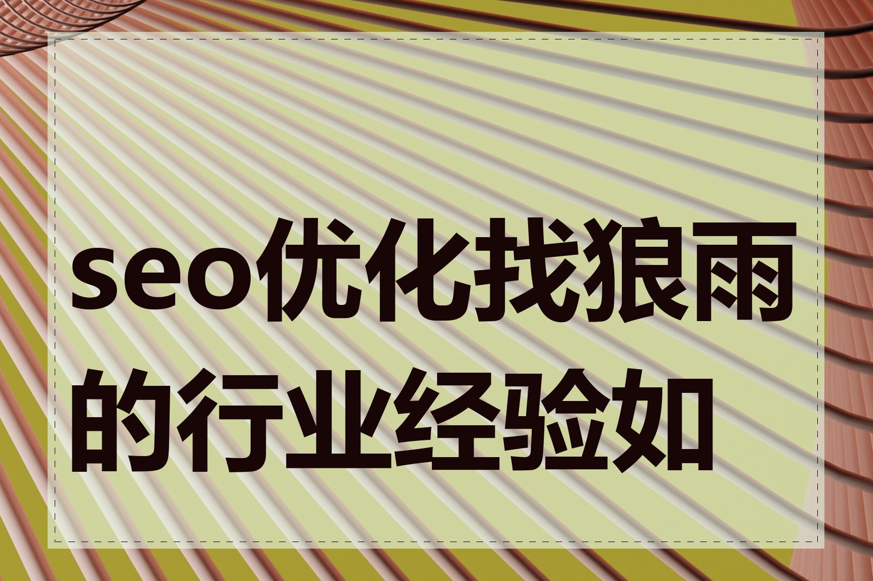 seo优化找狼雨的行业经验如何