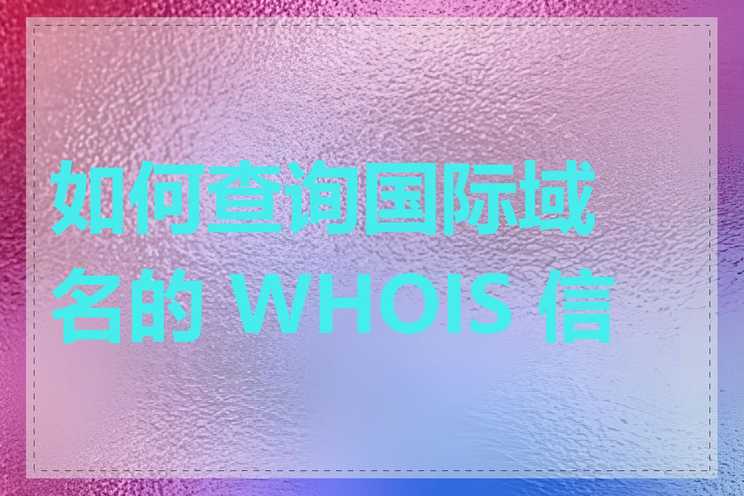 如何查询国际域名的 WHOIS 信息