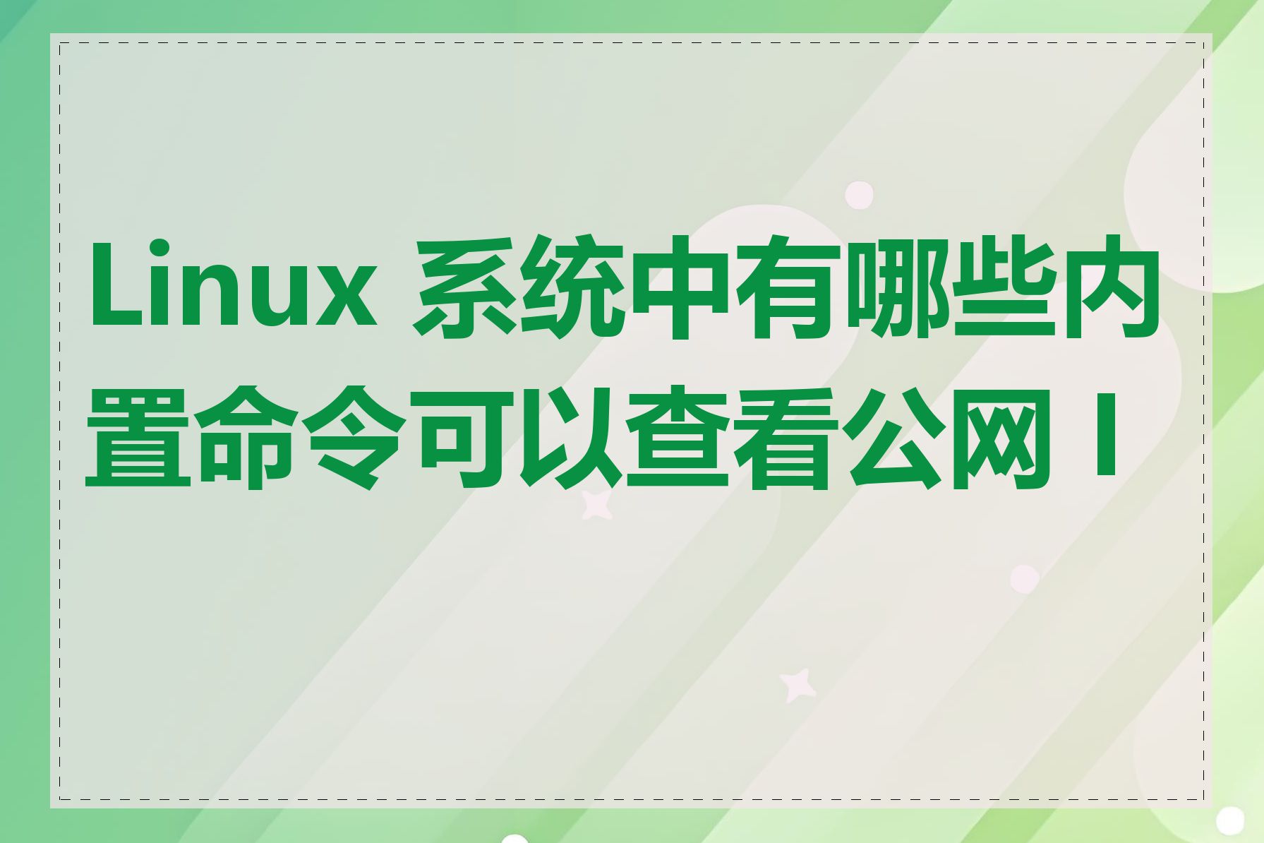 Linux 系统中有哪些内置命令可以查看公网 IP