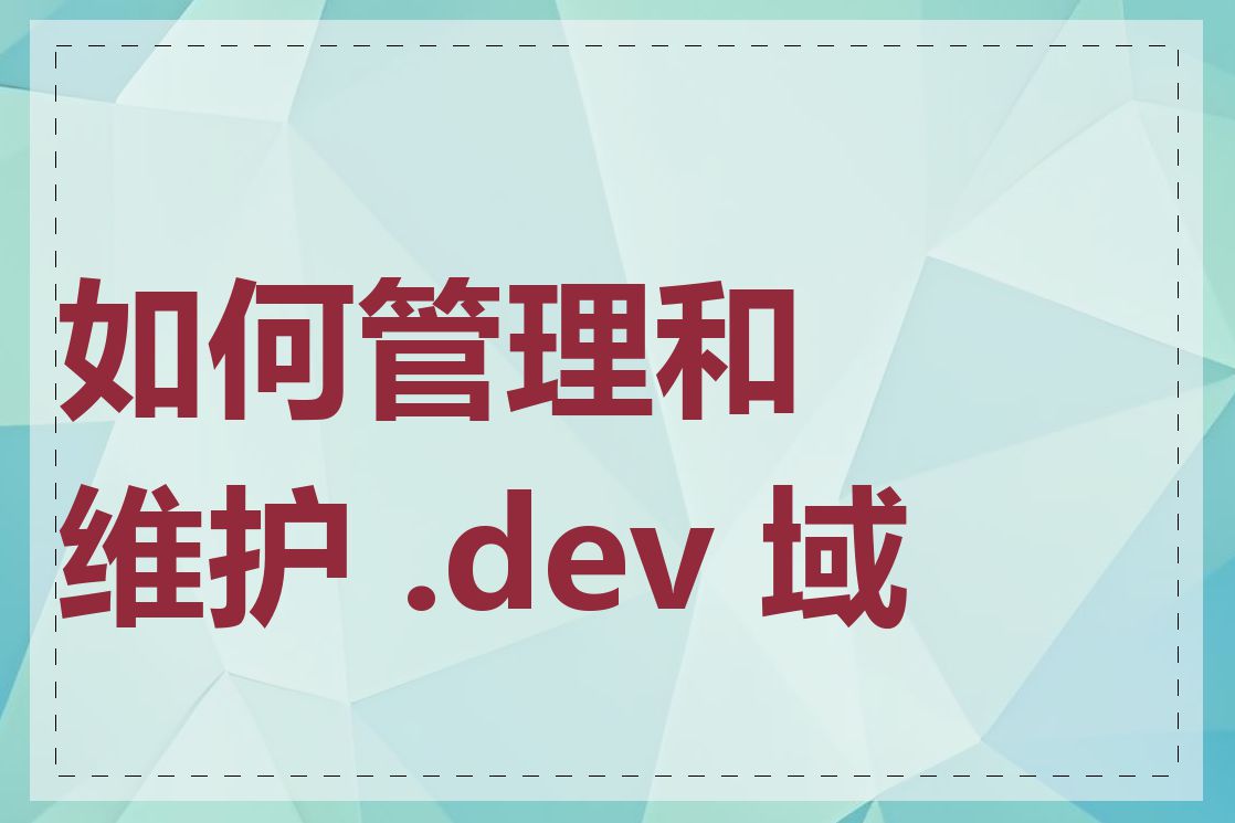 如何管理和维护 .dev 域名