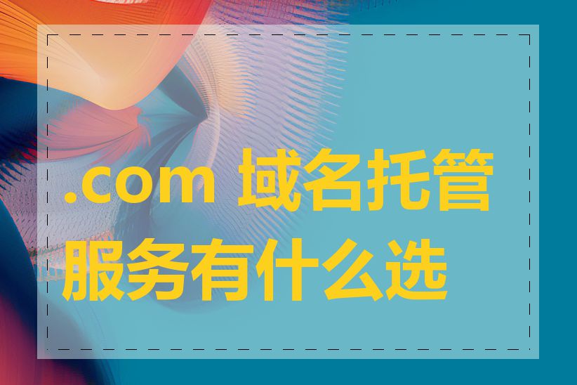 .com 域名托管服务有什么选择