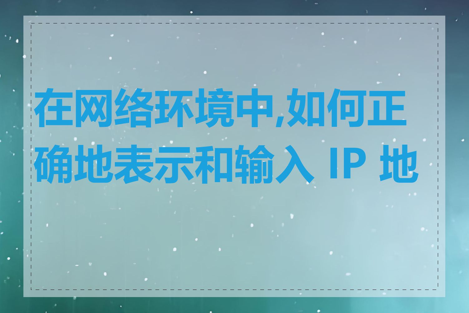 在网络环境中,如何正确地表示和输入 IP 地址