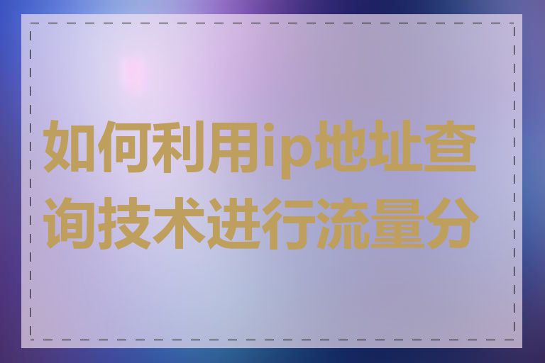 如何利用ip地址查询技术进行流量分析