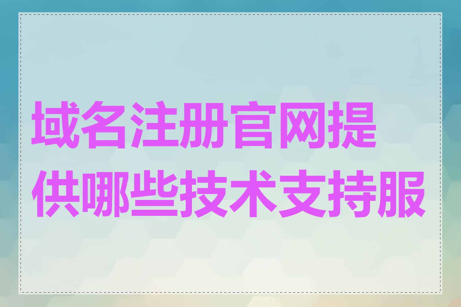 域名注册官网提供哪些技术支持服务