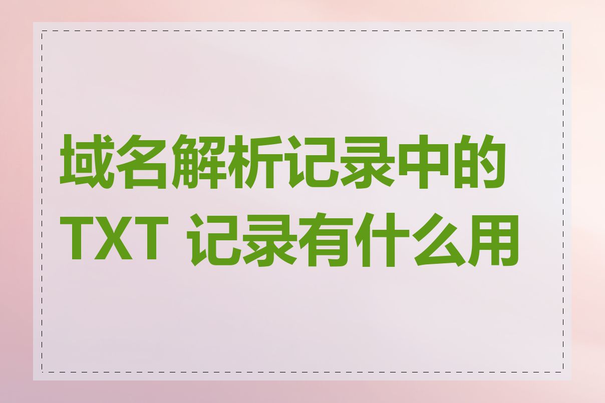 域名解析记录中的 TXT 记录有什么用途