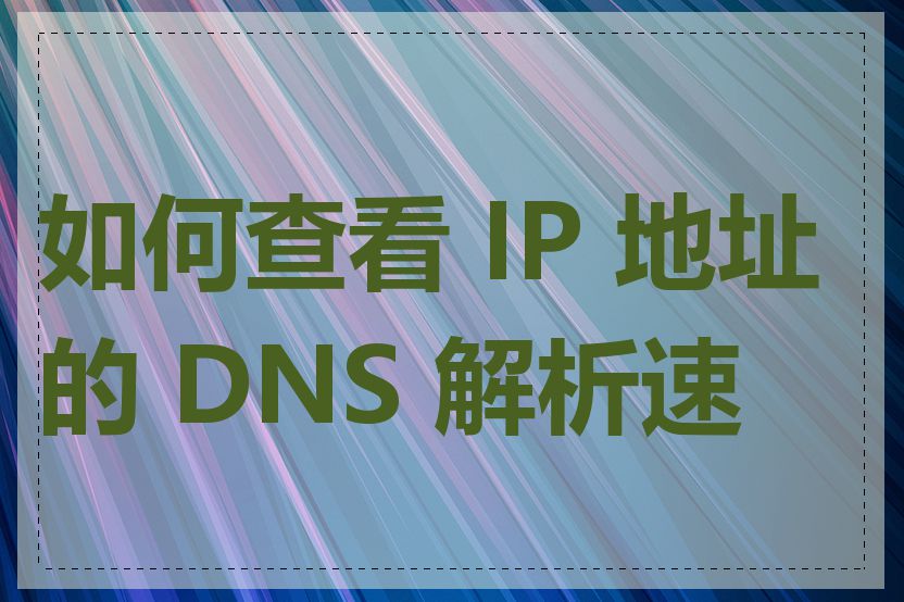 如何查看 IP 地址的 DNS 解析速度