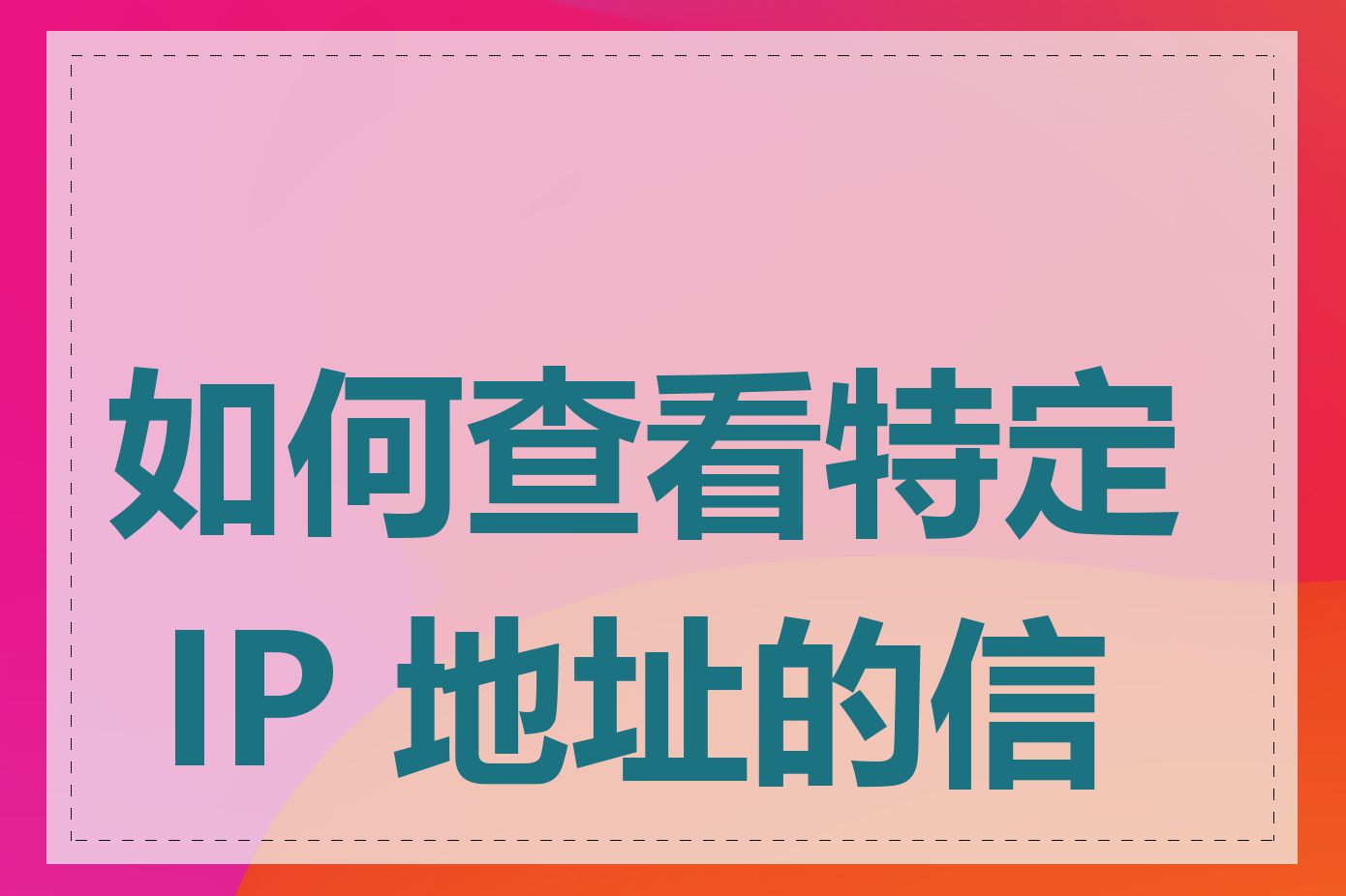 如何查看特定 IP 地址的信息